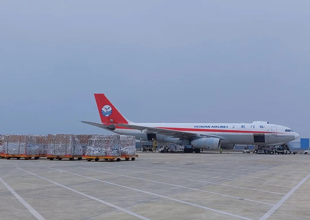 2024年航空货运业收入预计下降17.3%