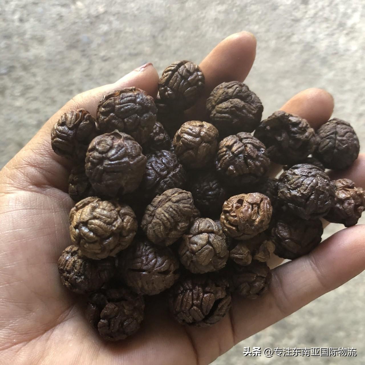 进口清关 进口清关
