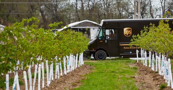 UPS寄件需要哪些资料 UPS寄件需要哪些资料