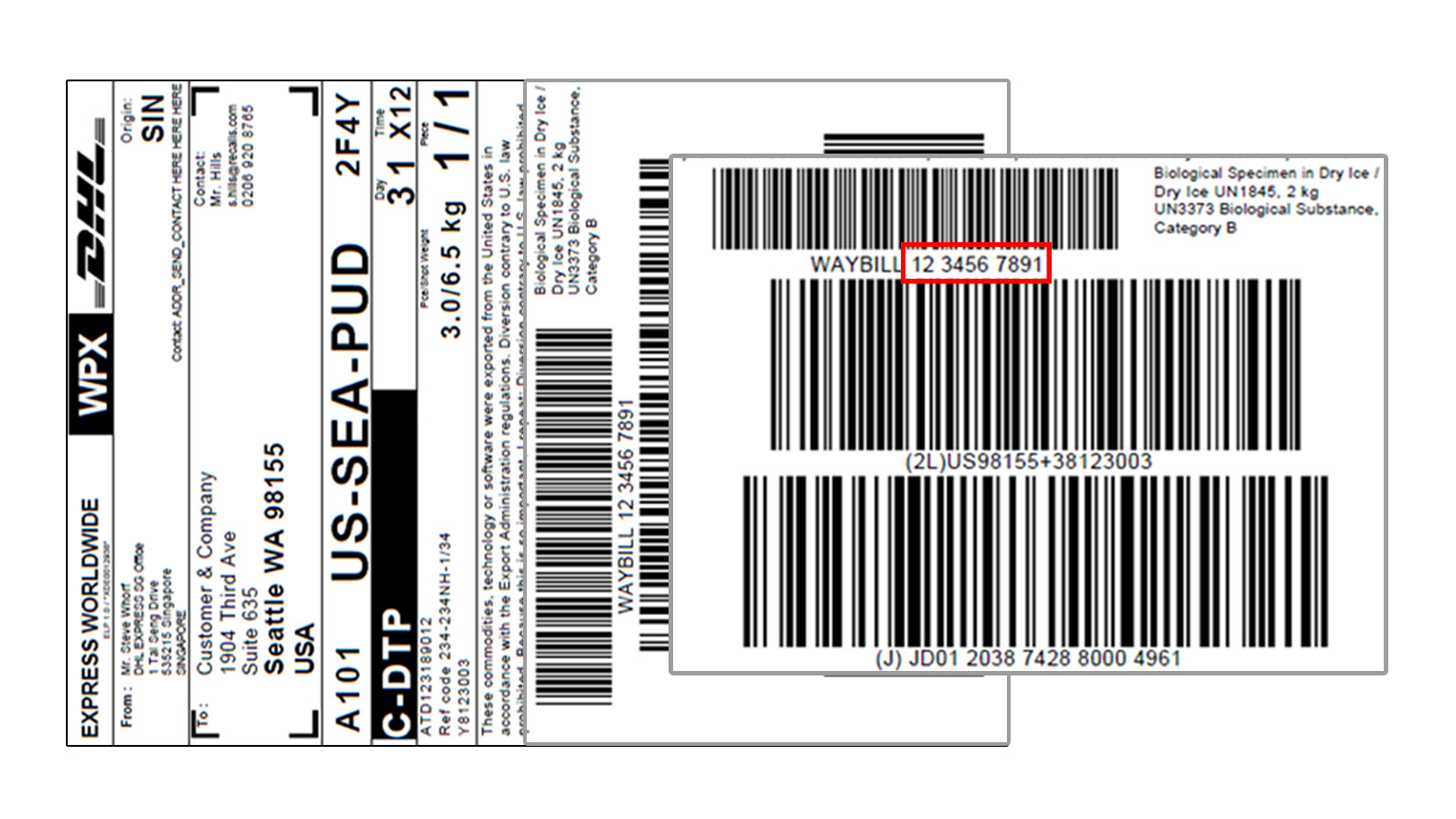 DHL 快件查询号 DHL 快件查询号